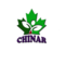 Chinar Hospital & Dialysis Center logo